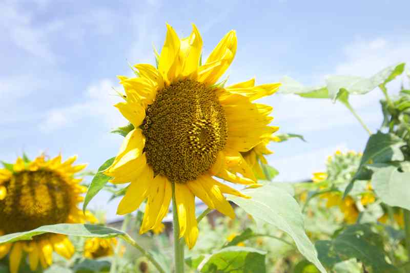 how to feel beautiful