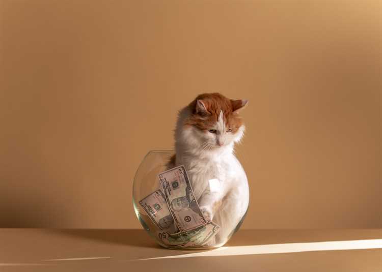 money can’t buy happiness