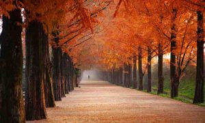 live an abundant life