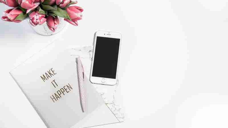 manifestation success
